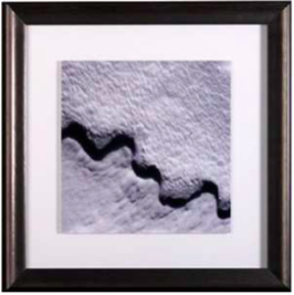 photo pave fond blanc photo pave fond blanc