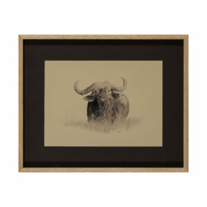 MARECHALERIE 001 291216 1 min scaled 1