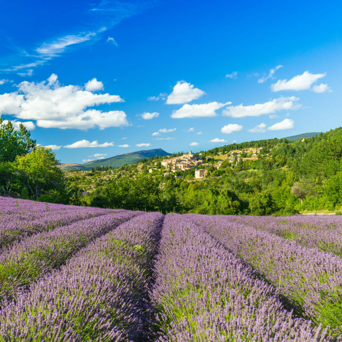 region PACA la marechalerie 1 1
