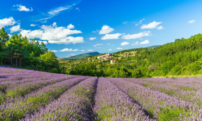 region PACA la marechalerie 1 1