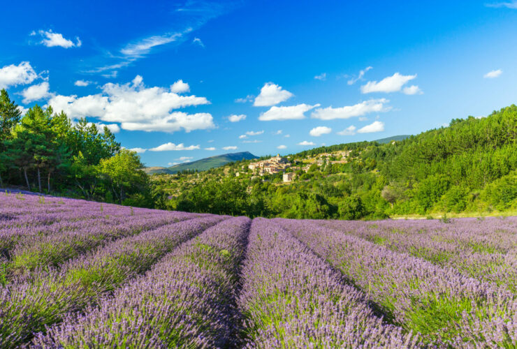 region PACA la marechalerie 1 1