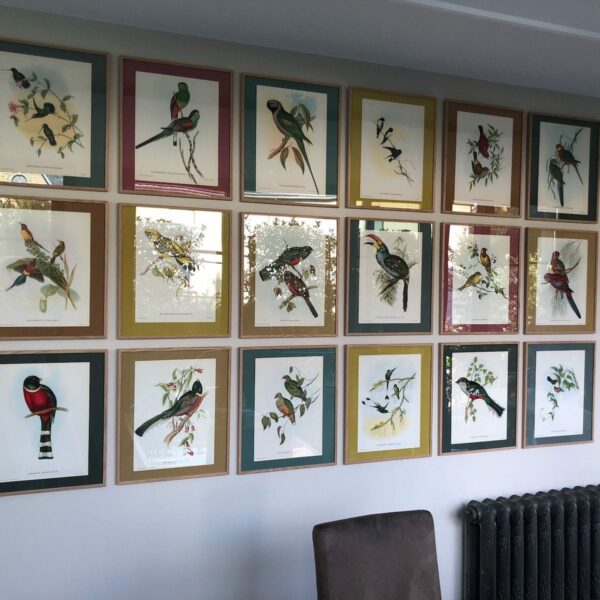 WhatsApp Image 2024 01 17 at 18.14.16