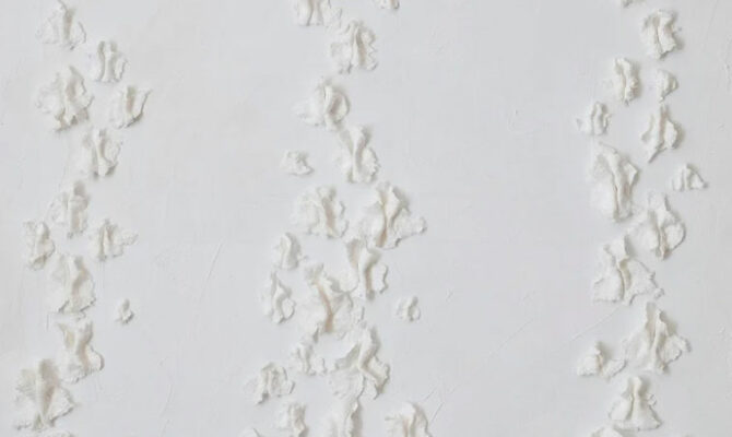 la marechalerie ils nous ont fait confiance 1