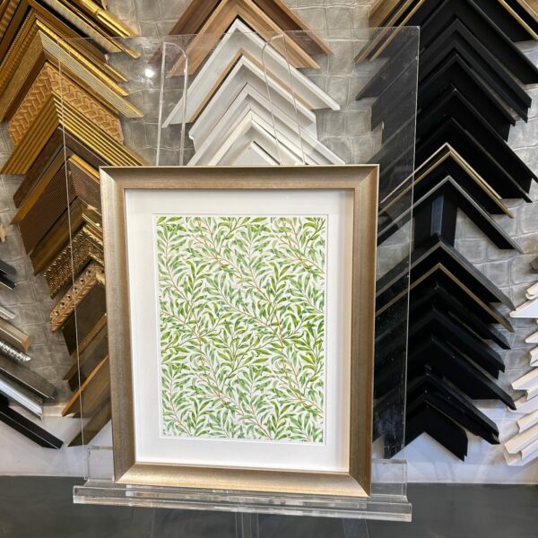 encadrement illustration feuilles saule