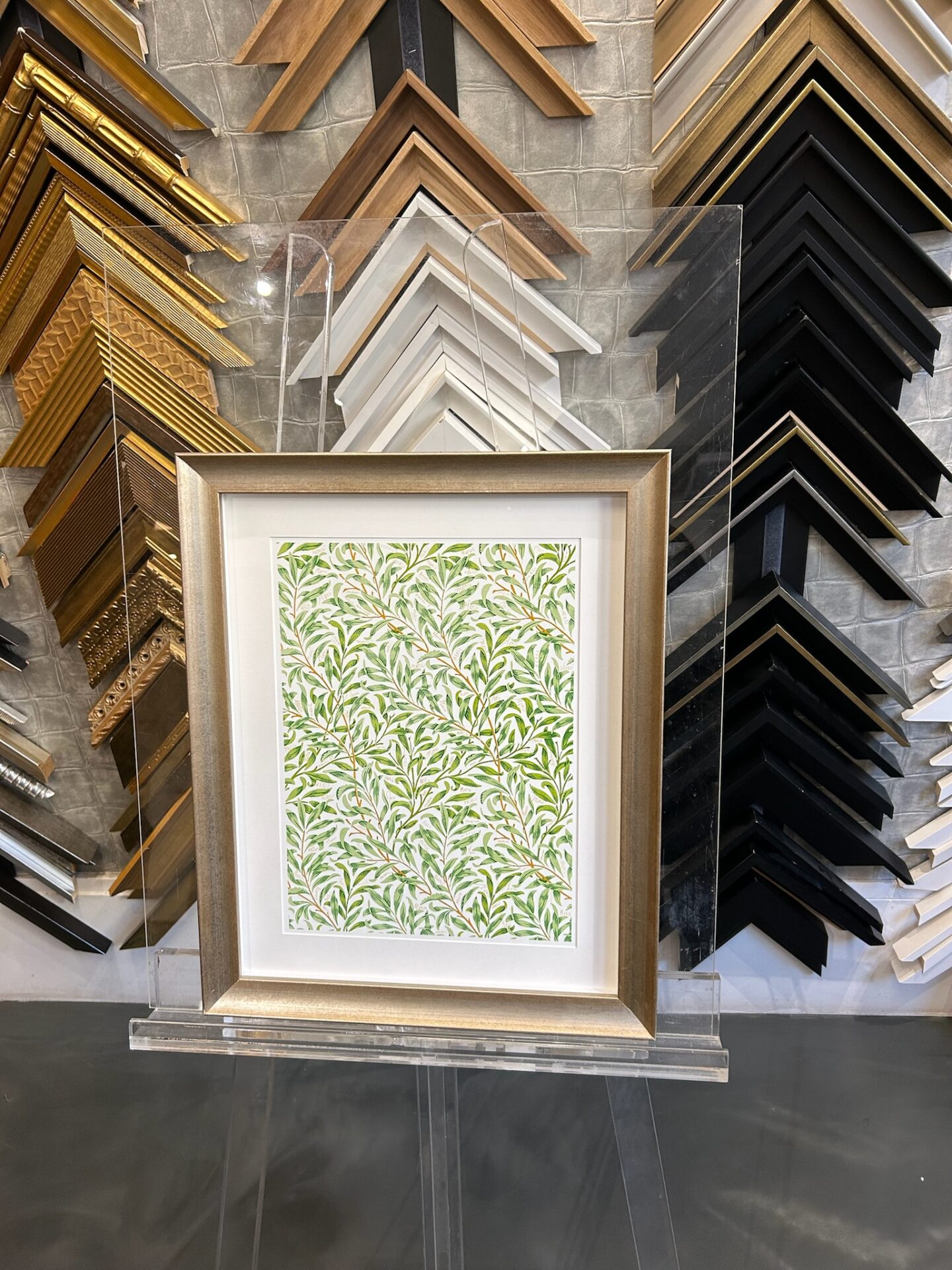 encadrement illustration feuilles saule